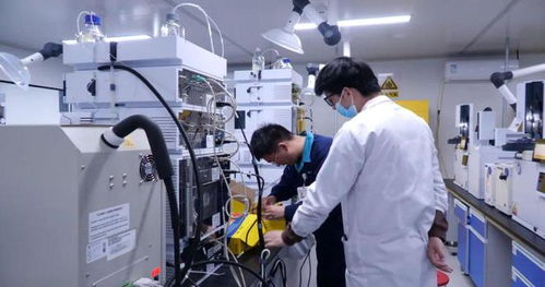 巩留县企业发展注入新动能带动就业促增收
