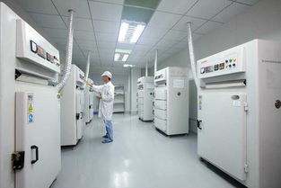 招聘信息 公司前景 规模 待遇怎么样