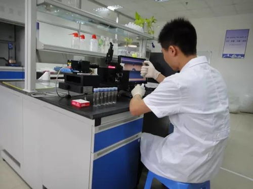 加岩丨专注研发高分子科技,致力打造中国智造产品 董绍胜