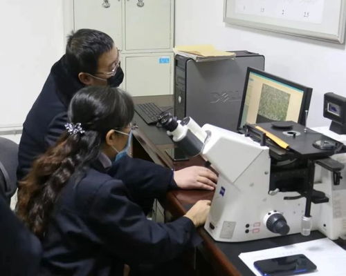 科技创新为发展赋能 包钢股份成功研发高强度热处理钢轨 实现首次出口